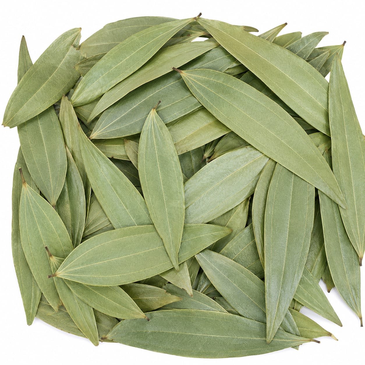 HERBS & LEAVES