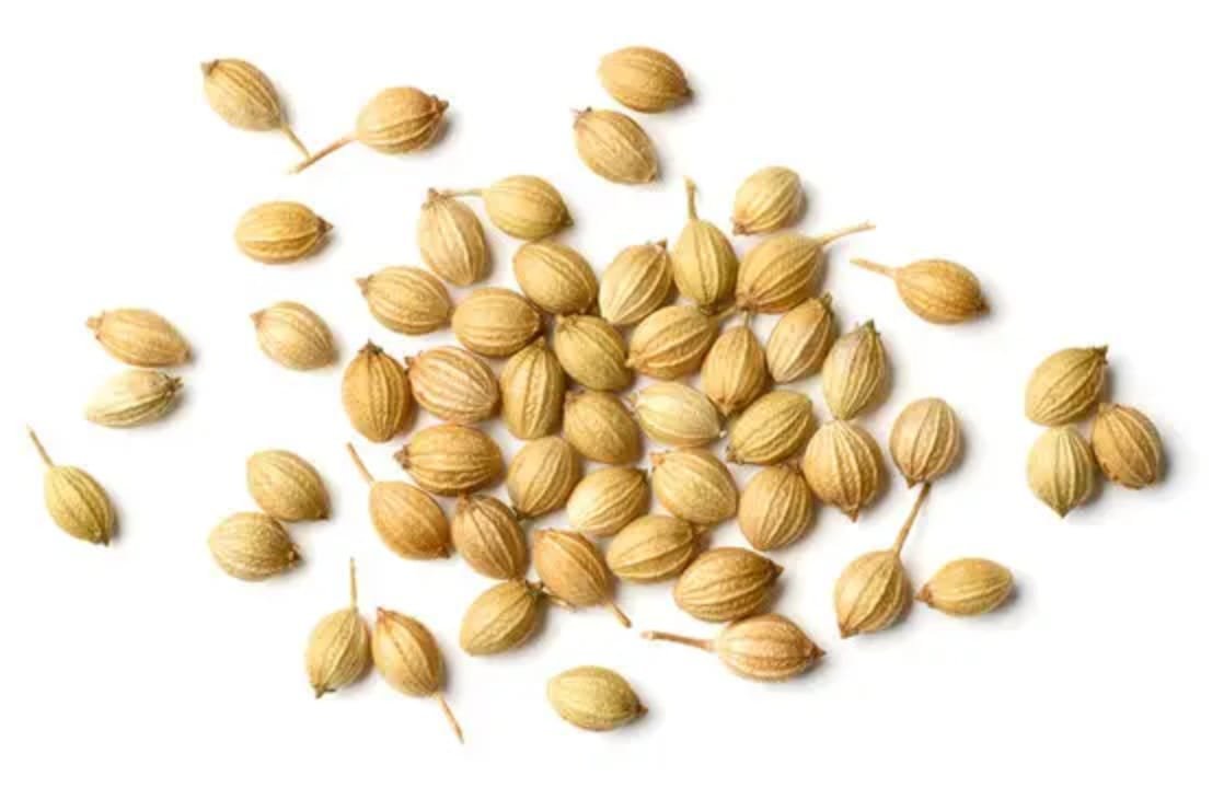 SEEDS