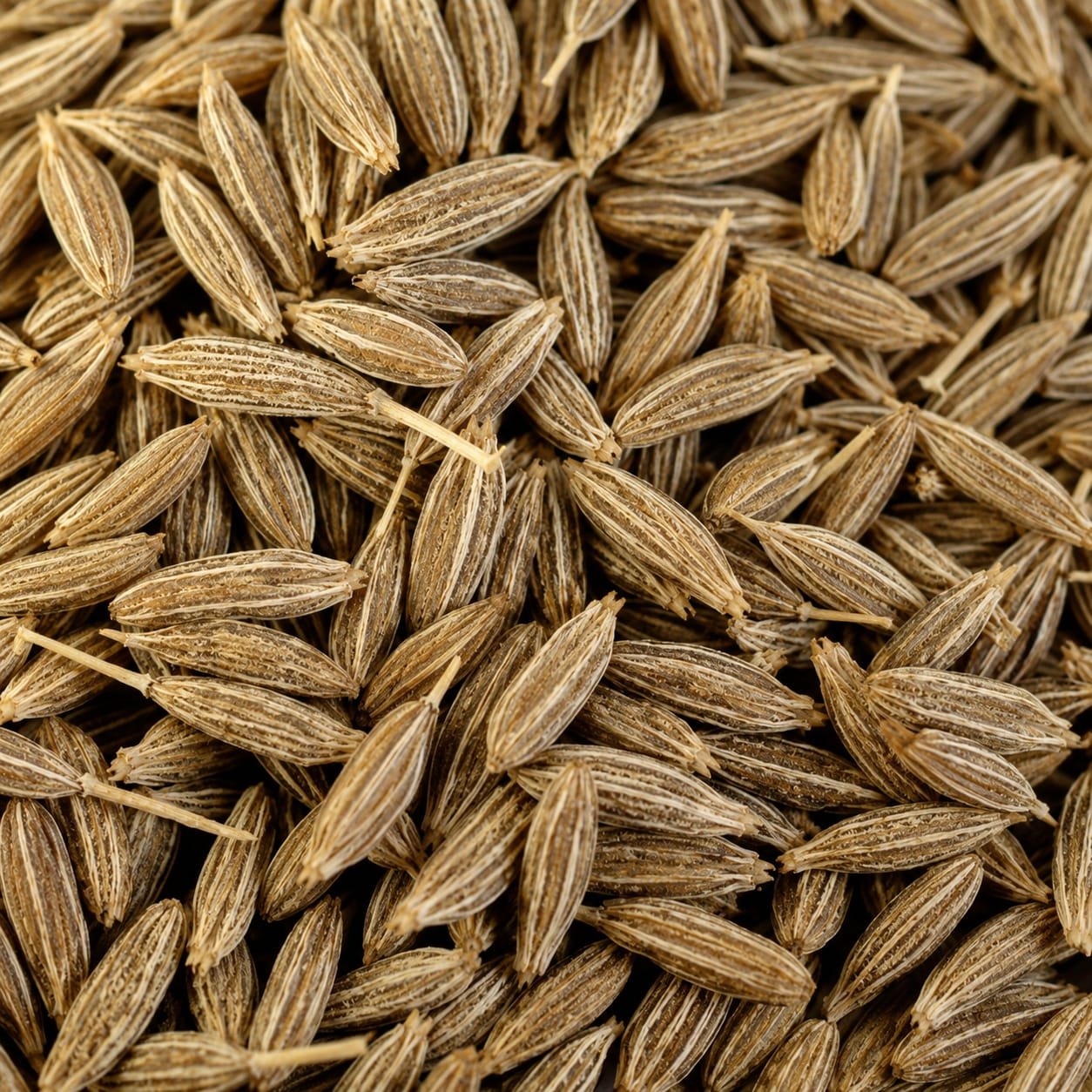 Cumin Seeds