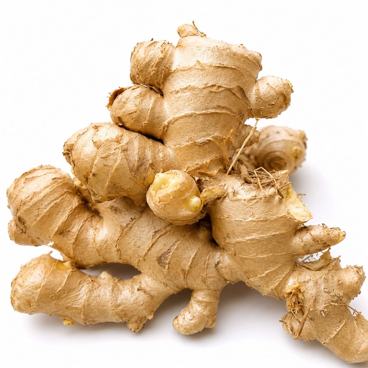Ginger
