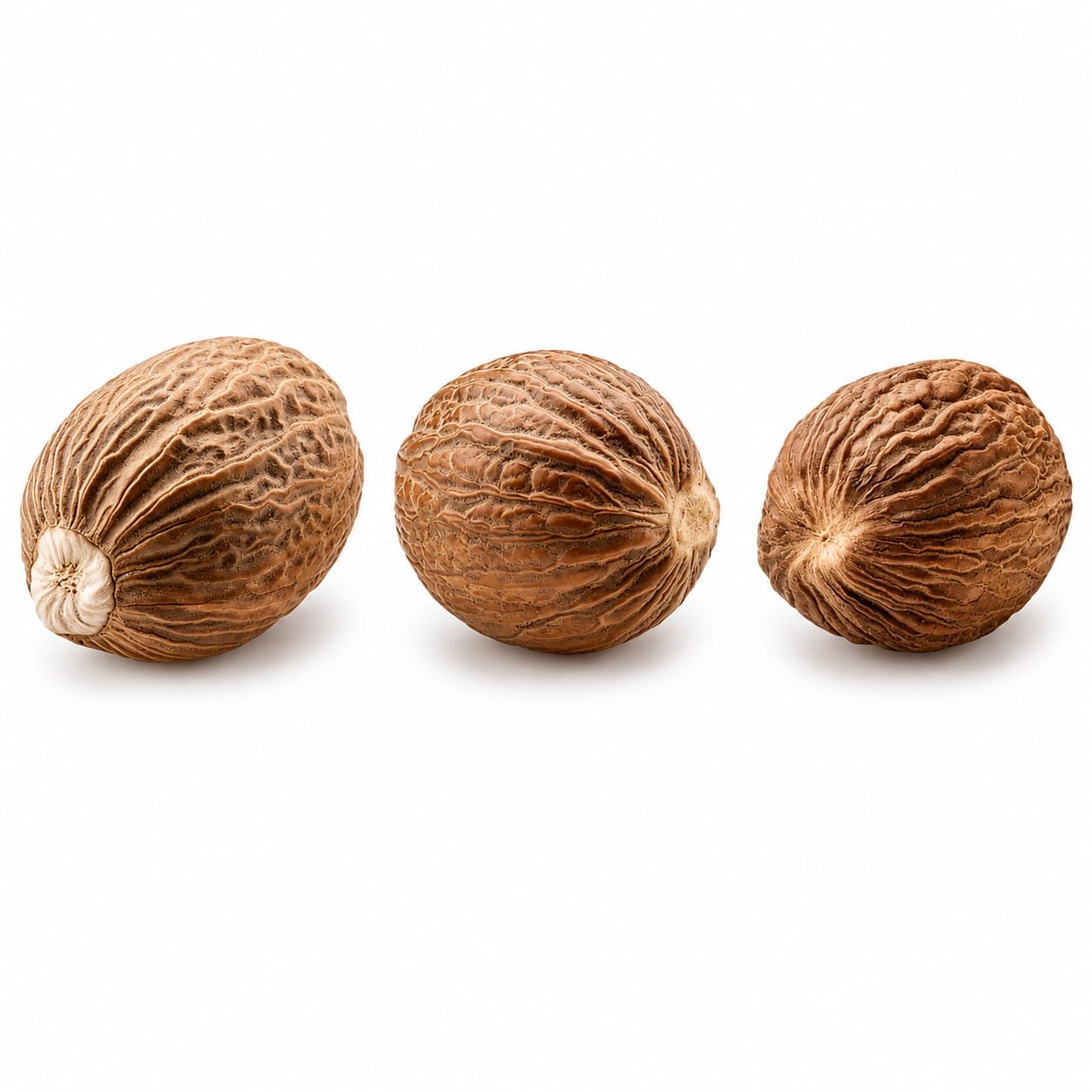 Nutmeg Seeds
