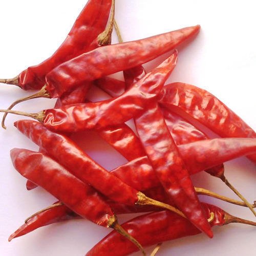 Dry Red Chilli